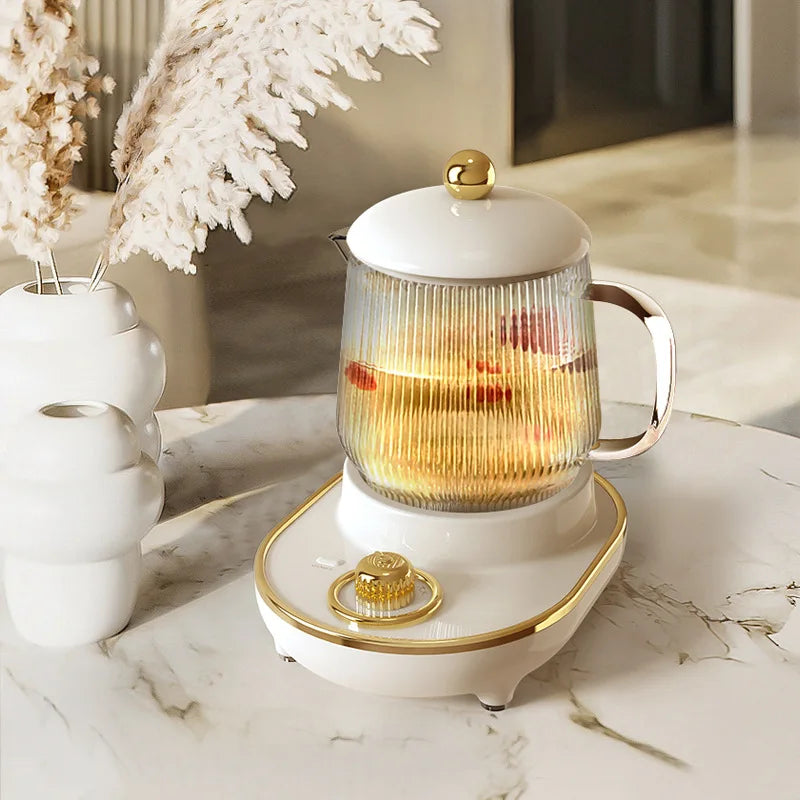 Fanio Multifunctional Mini Health Pot