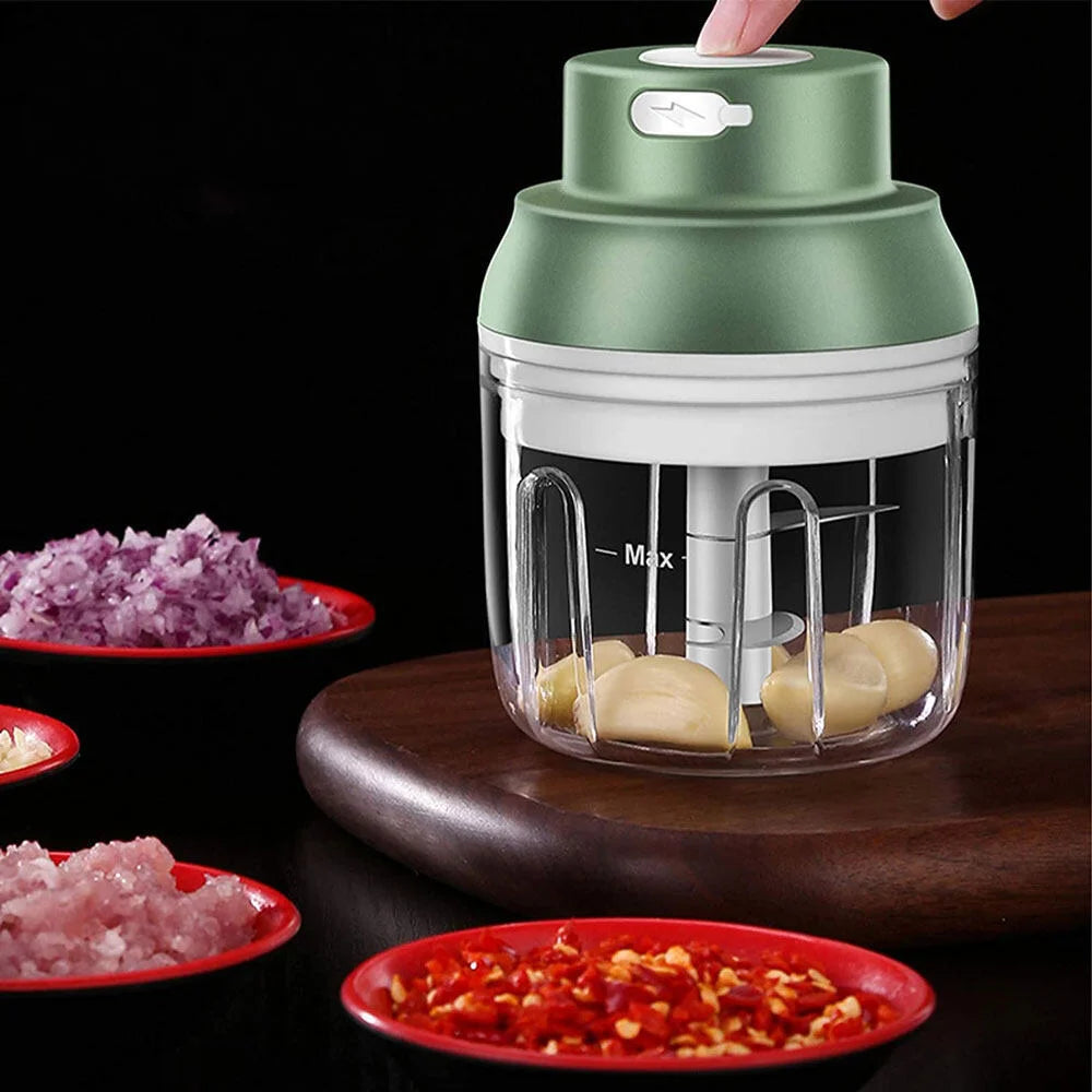 Fanio Electric Food Chopper