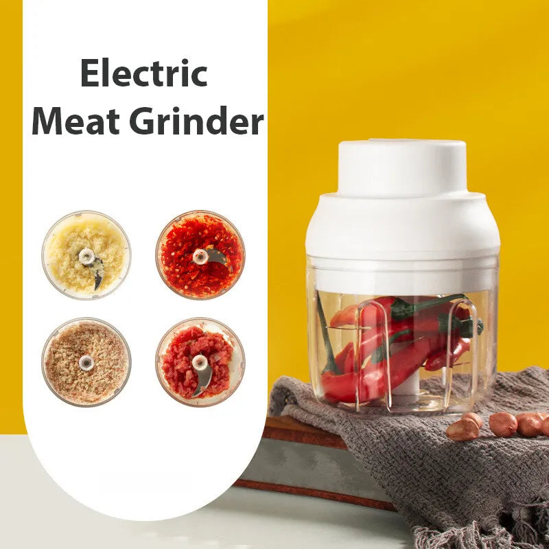 Fanio Electric Food Chopper